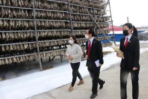 娉曢櫌鐤儏闃叉帶澶嶅伐绾疄鍐呭,娉曢櫌鎶楀嚮鐤儏鍙告硶鍔╁姏澶嶅伐