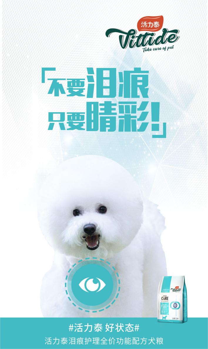 娄艺潇李金铭抖音,李金铭娄艺潇综艺节目在哪看