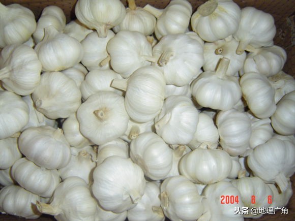 山东标志性美食图片,山东特色优质农产品目录