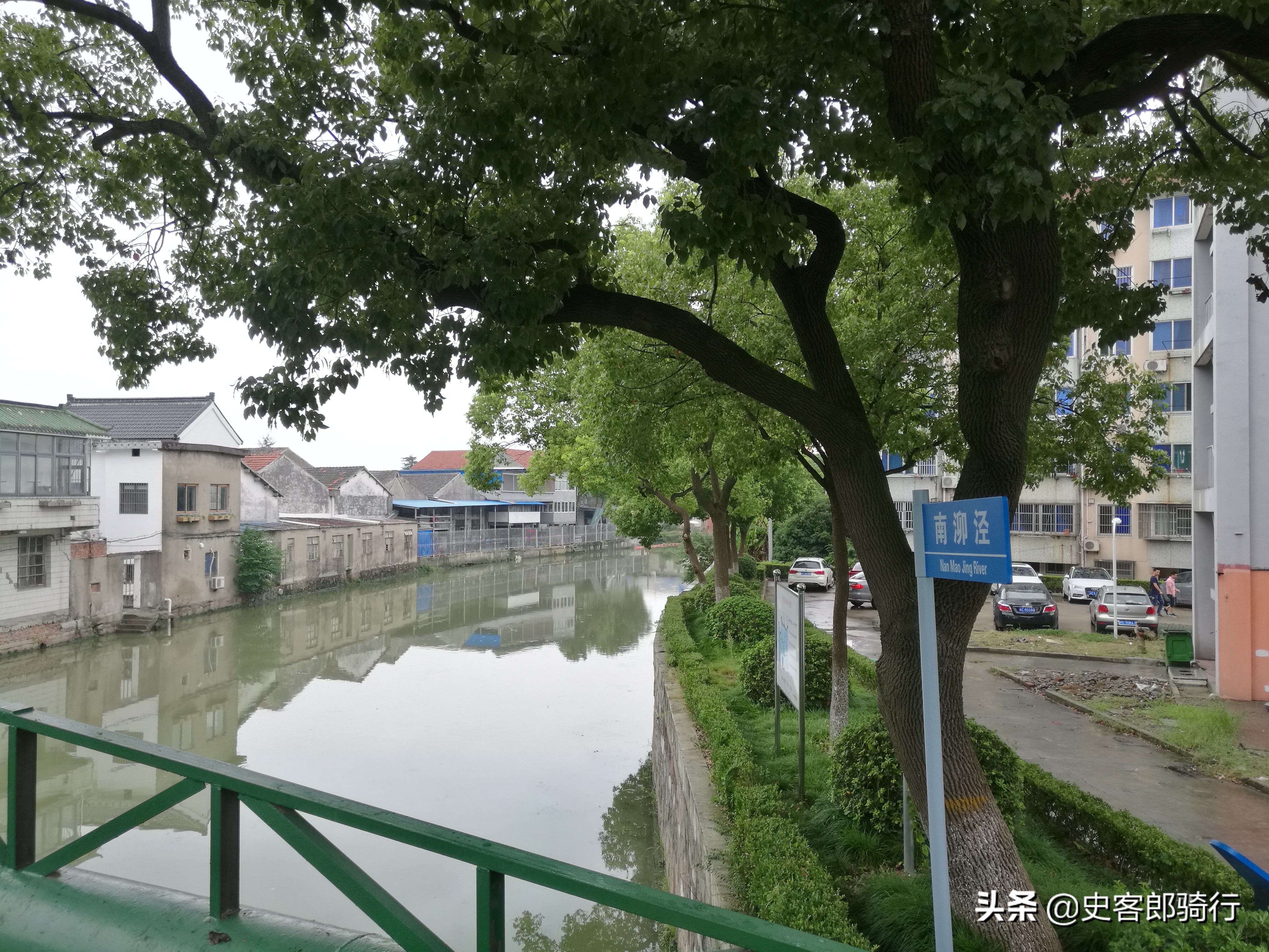 上海骑行看樱花,坐车看上海夜景