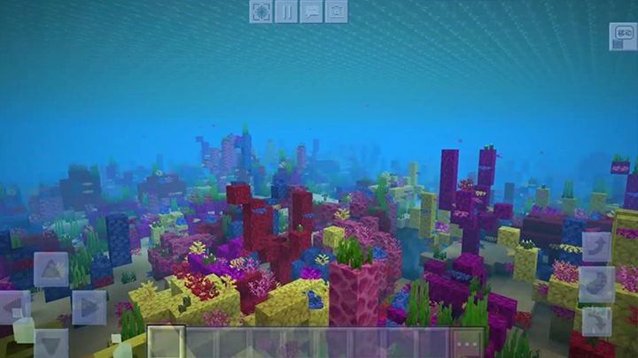 我的世界小海龟大小,我的世界小海龟放在沙里会不见吗