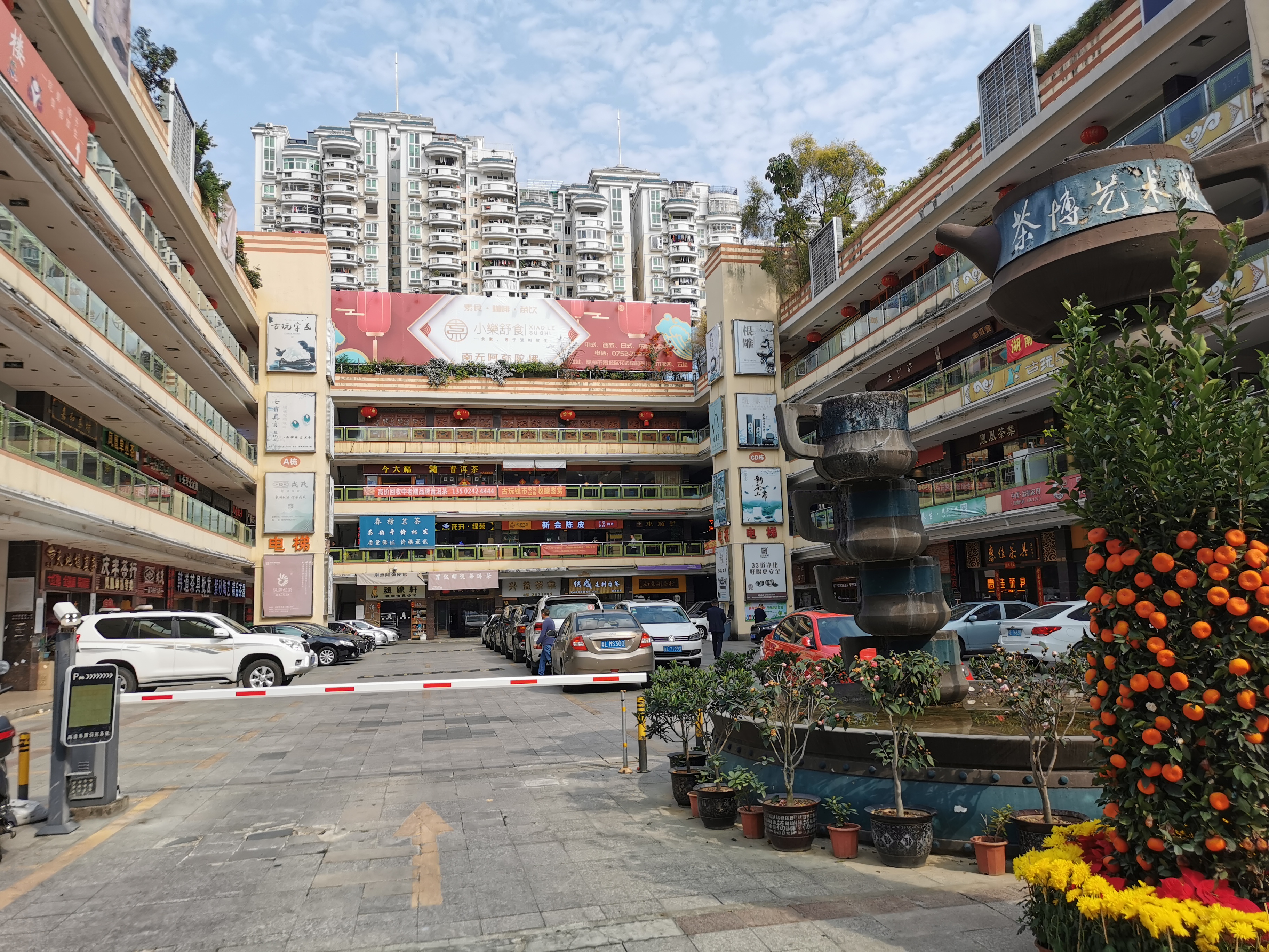 我眼中的茶,茶学专业出来都干嘛了