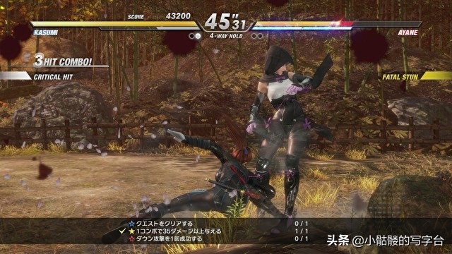 生死格斗6特色游戏有哪些,生死格斗6对战模式