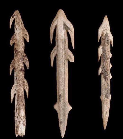 商王弓箭射大鳖,西周有个射鱼国,商周名流必备的鱼鳔箭头了解下