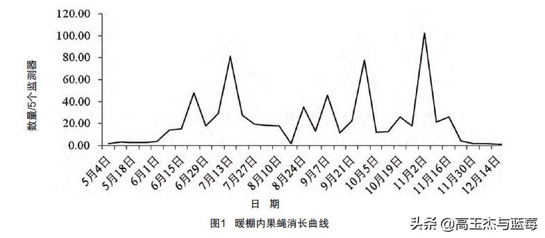蓝莓地下害虫最佳防治时间,怎样预防蓝莓结果