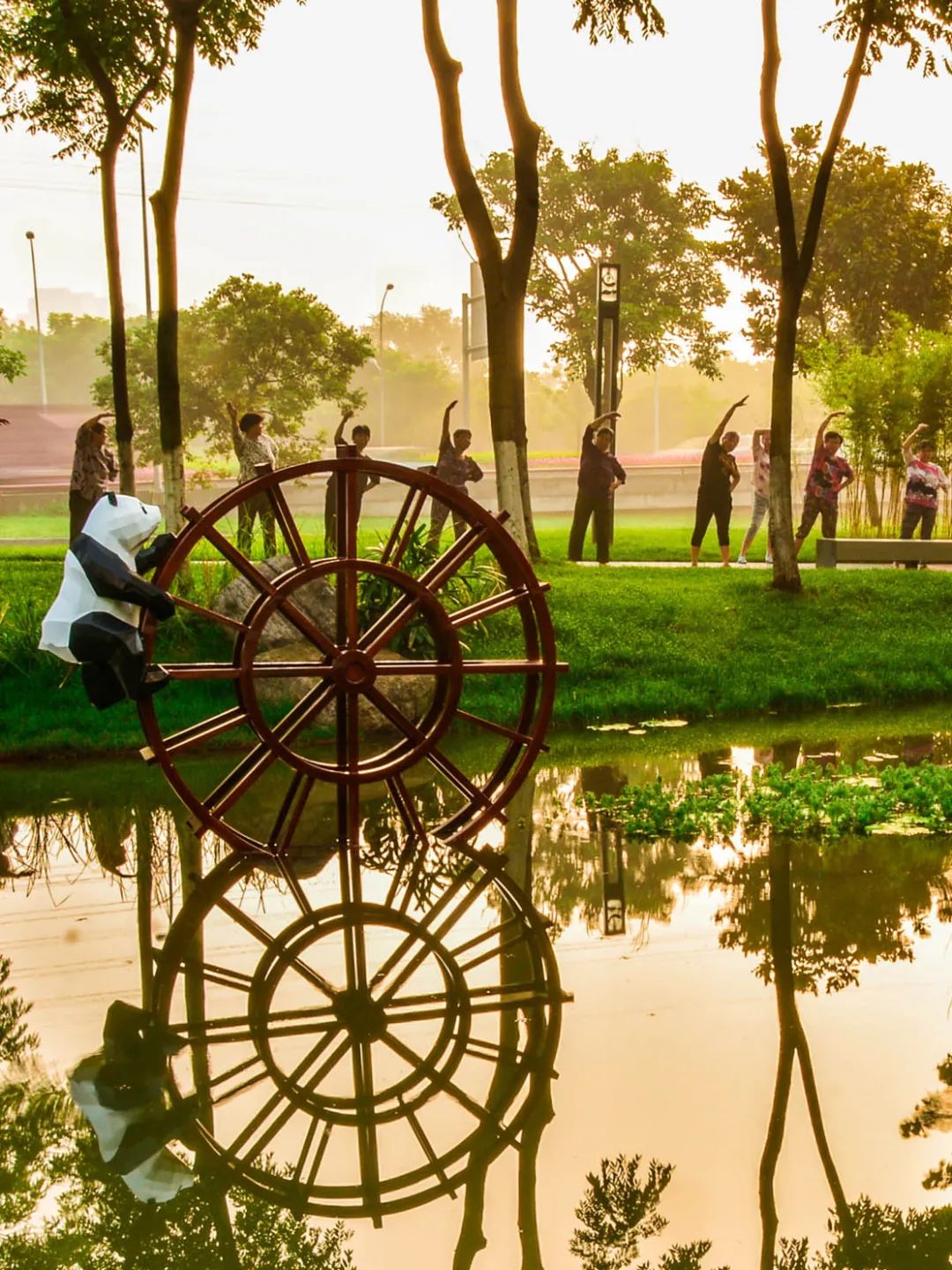 成都哪里的绿道最好,成都绿道最好的地方
