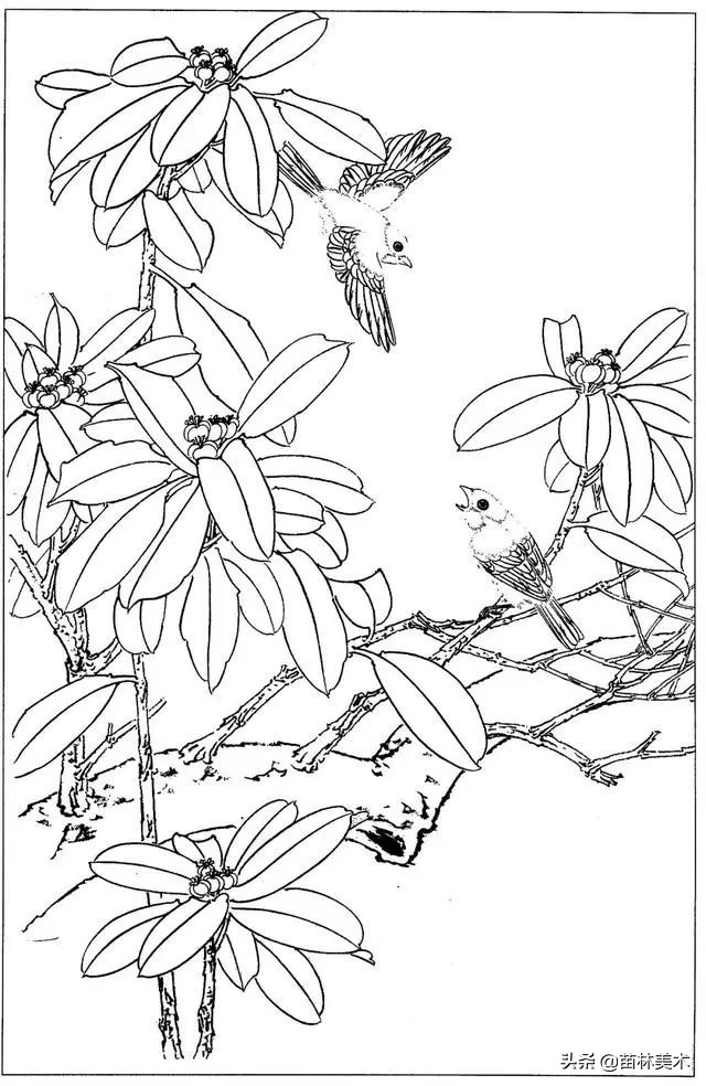 现代国画工笔花鸟白描及完整版,路雨年工笔白描花鸟团扇高清图片