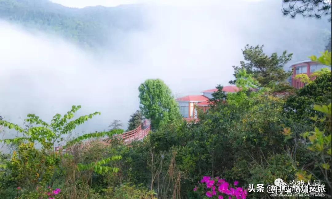 赣州亚马逊电商平台概念,赣州有亚马逊吗