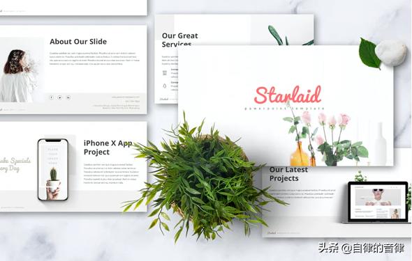 只要加些植物元素，你的PPT页面精致又有格调