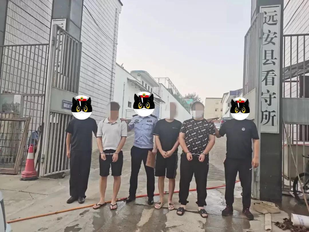 公安打掉一批违法犯罪团伙,雷霆出击抓获犯罪团伙