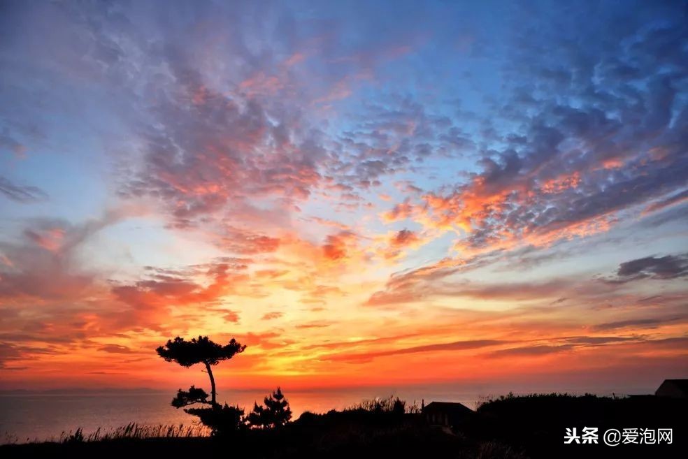 广东森林海温泉酒店攻略,广东云天海原始森林温泉度假村