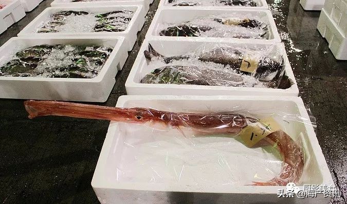 全世界顶级的4种海鲜,世界十大名贵海鲜