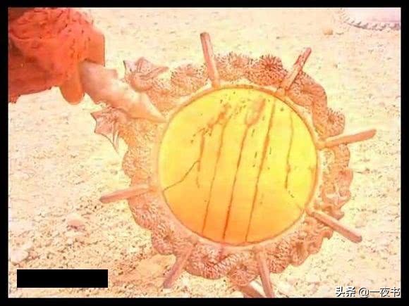 鍑岄湝榄斿墤鍜岄緳鍏冭皝鍘夊,榄斿墤鐢熸妫嬪噷闇滃墤璧锋鍥炵敓