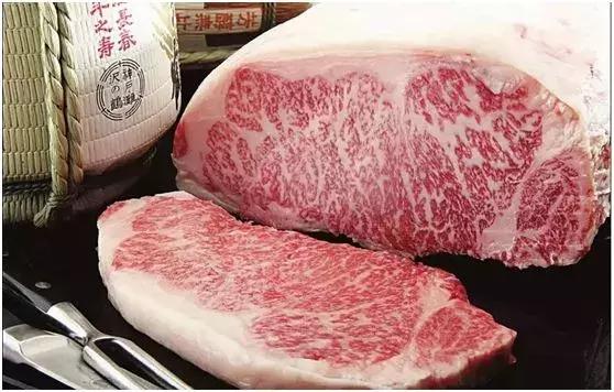 日本“国宝级精液”差点进入中国,吓坏了日本人