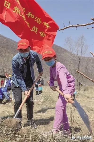 乡村振兴果树种植基地建设项目,种植经济林吹响乡村振兴冲锋号