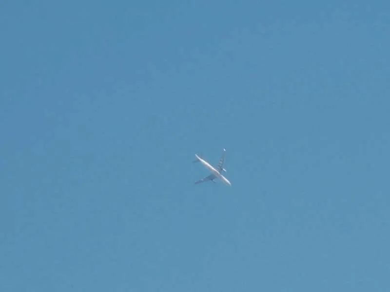 在闲鱼上碰到了前男友,闲鱼上如何找对象