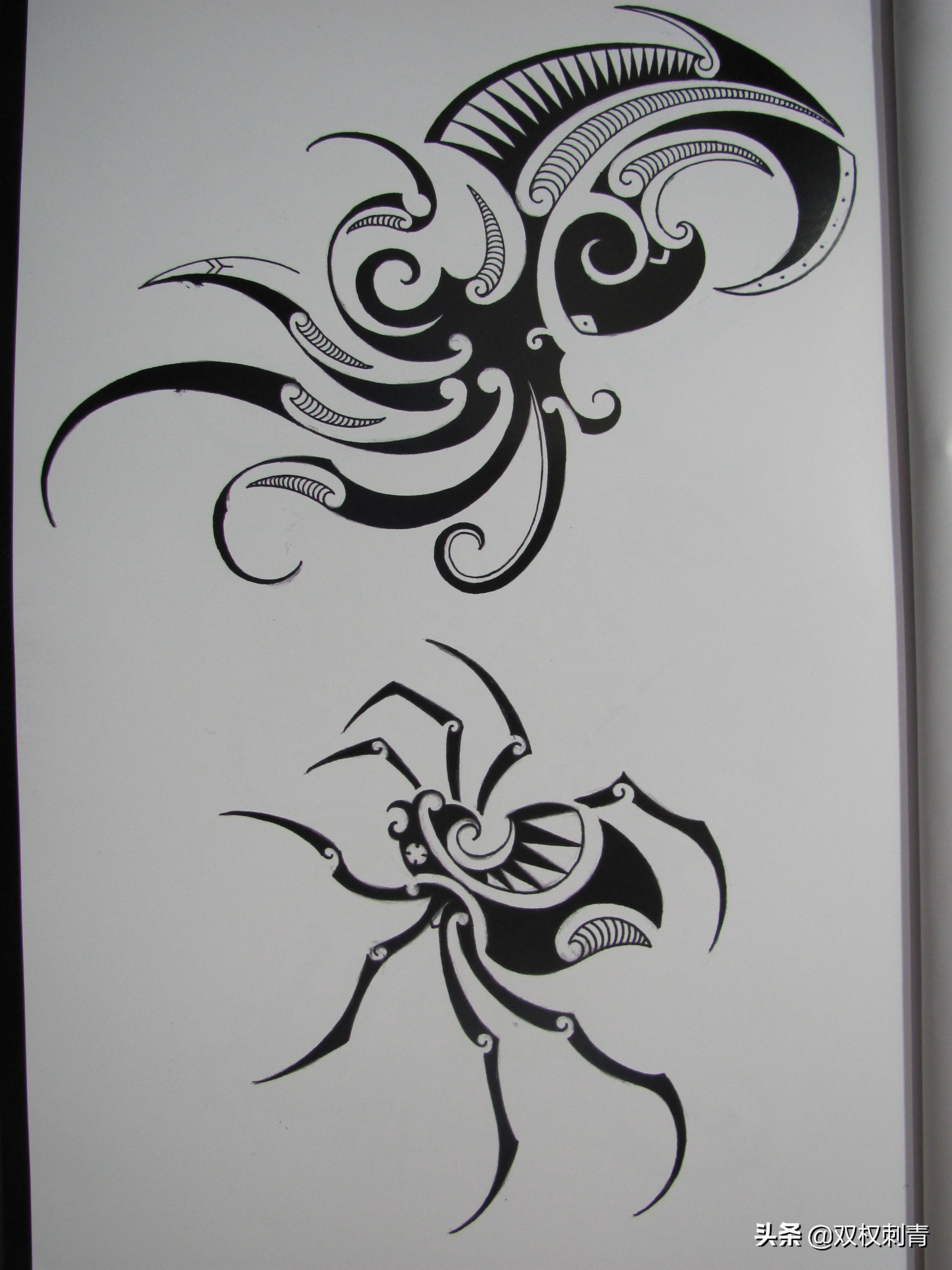 凤凰图腾图,张氏图腾图