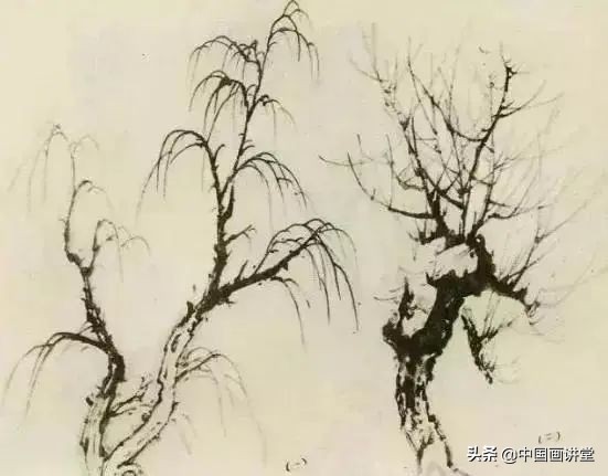 缠枝、挺杆、屈节、钮裂、一棵树如何画？看了这篇你绝对能学会