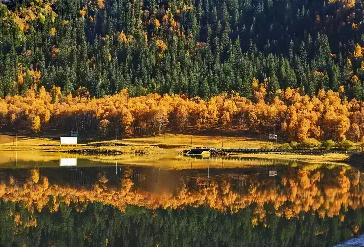 1011月错过它们，等于错过整个秋天！人少清净，随手一拍都是大片