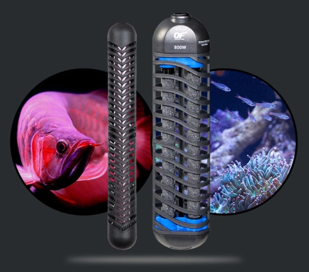 龙鱼老是扑水怎么回事,龙鱼有掉眼倾向怎么办