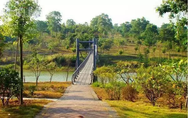 深圳各大公园游览攻略,深圳园博园推荐景点