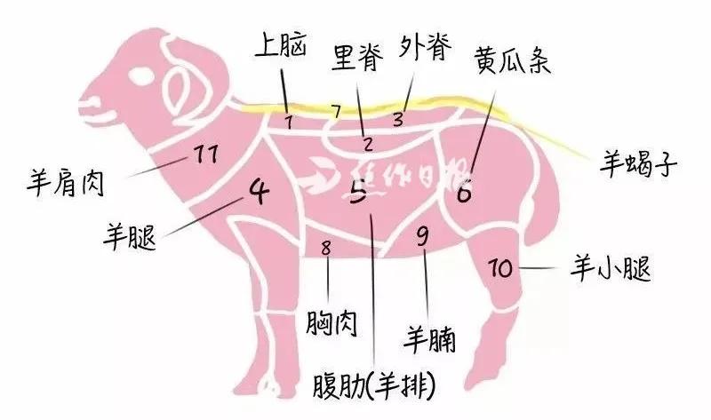 送送送,免费送!焦作这家火锅店喊你吃霸王菜!