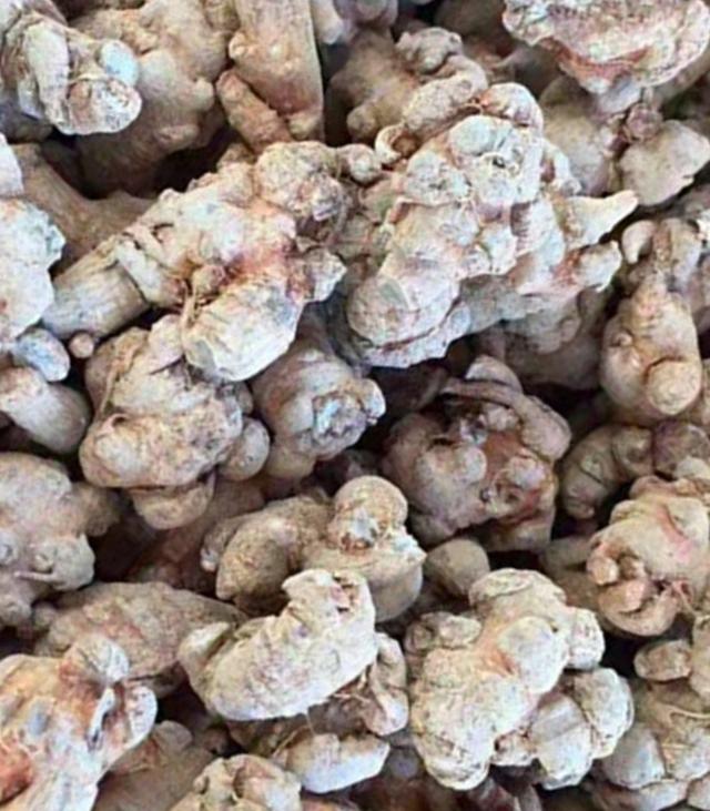 三七盆栽的常见问题,三七盆栽有什么功效