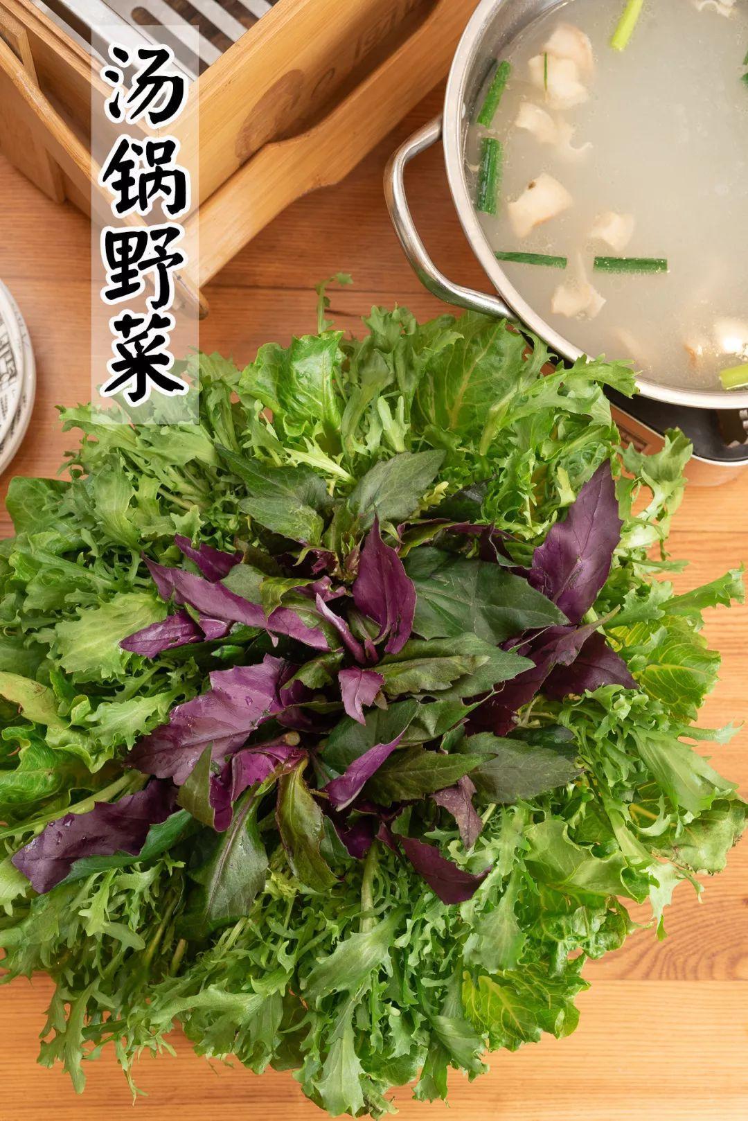 一家没有厨师的餐厅,四川无厨师饭店2分钟出餐