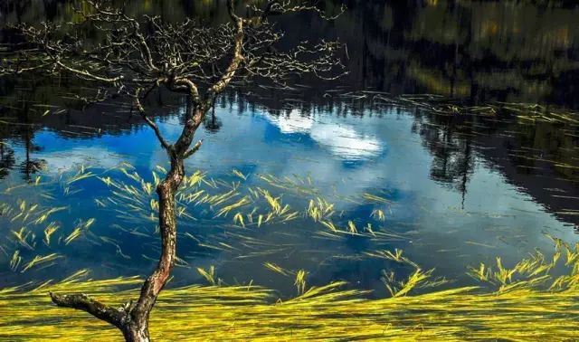 成都这座古城从不缺幻想和故事,四川藏着一个静谧古城