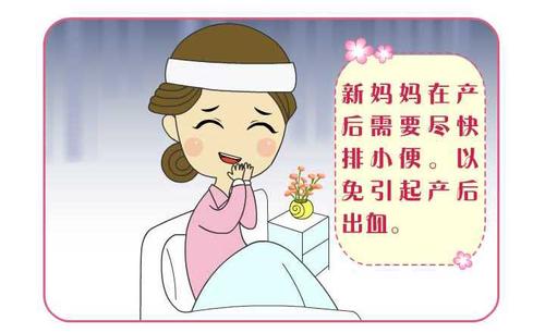 新手妈妈要知道的宝宝护理知识,新手妈妈需要注意的5件事