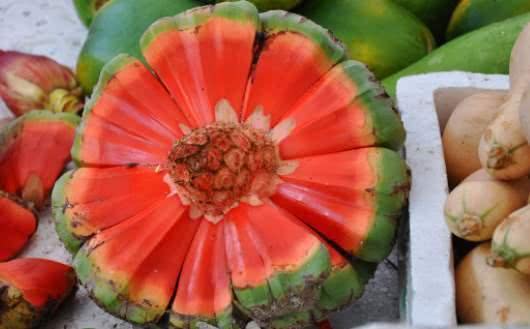 新鲜野生假菠萝,海南假菠萝的正确吃法