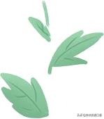 菜系食谱翻译,中国菜系翻译教学