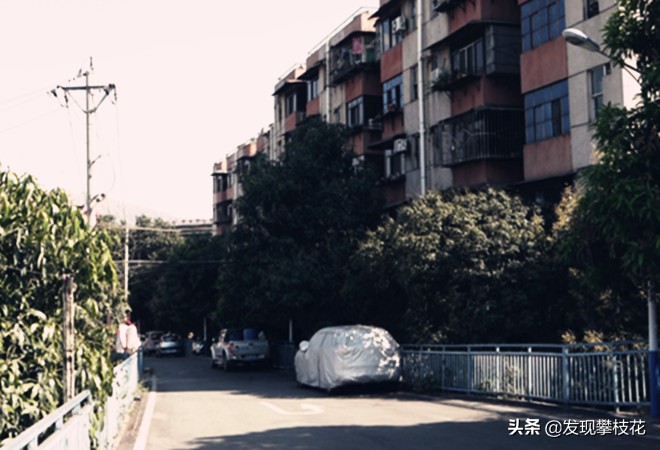 船厂生活区小区,攀枝花渡口船厂小区简介