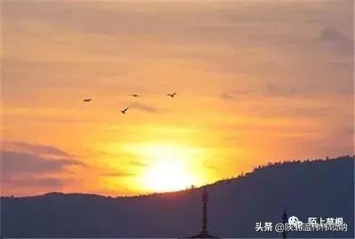 李志龙┃无法忘却的那些年月