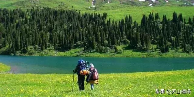 伊犁可克达拉草原,伊犁草原之旅