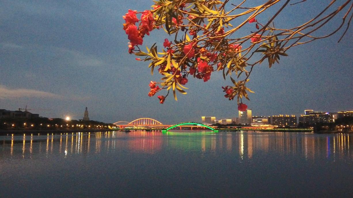 一处清净之地,五缘湾湿地公园风景如画