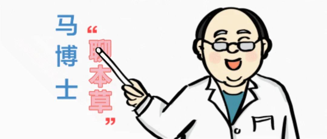 马博士的深度讲解,藏红花的中药故事