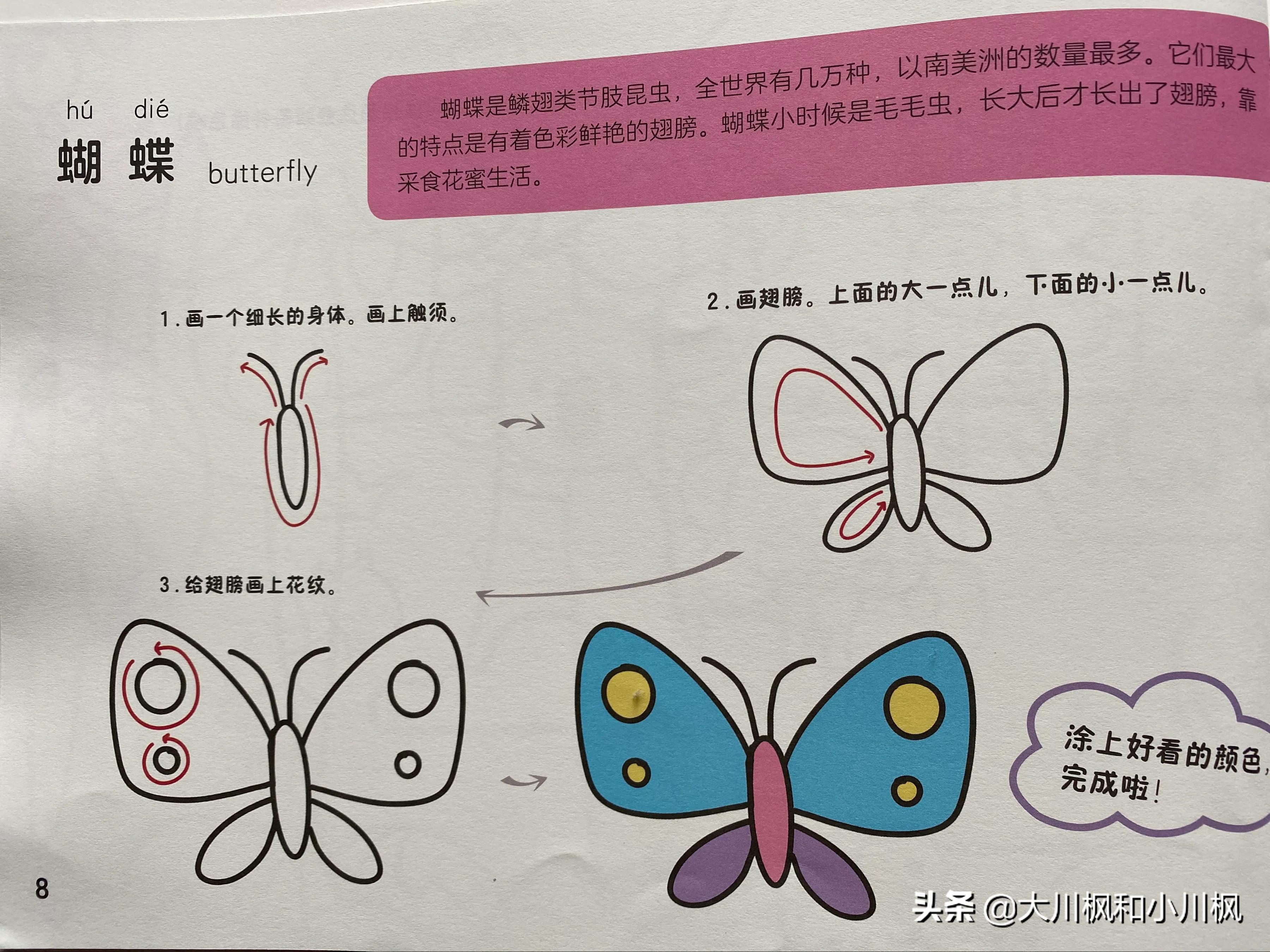 自然万物简笔画,万物变化简笔画图片大全