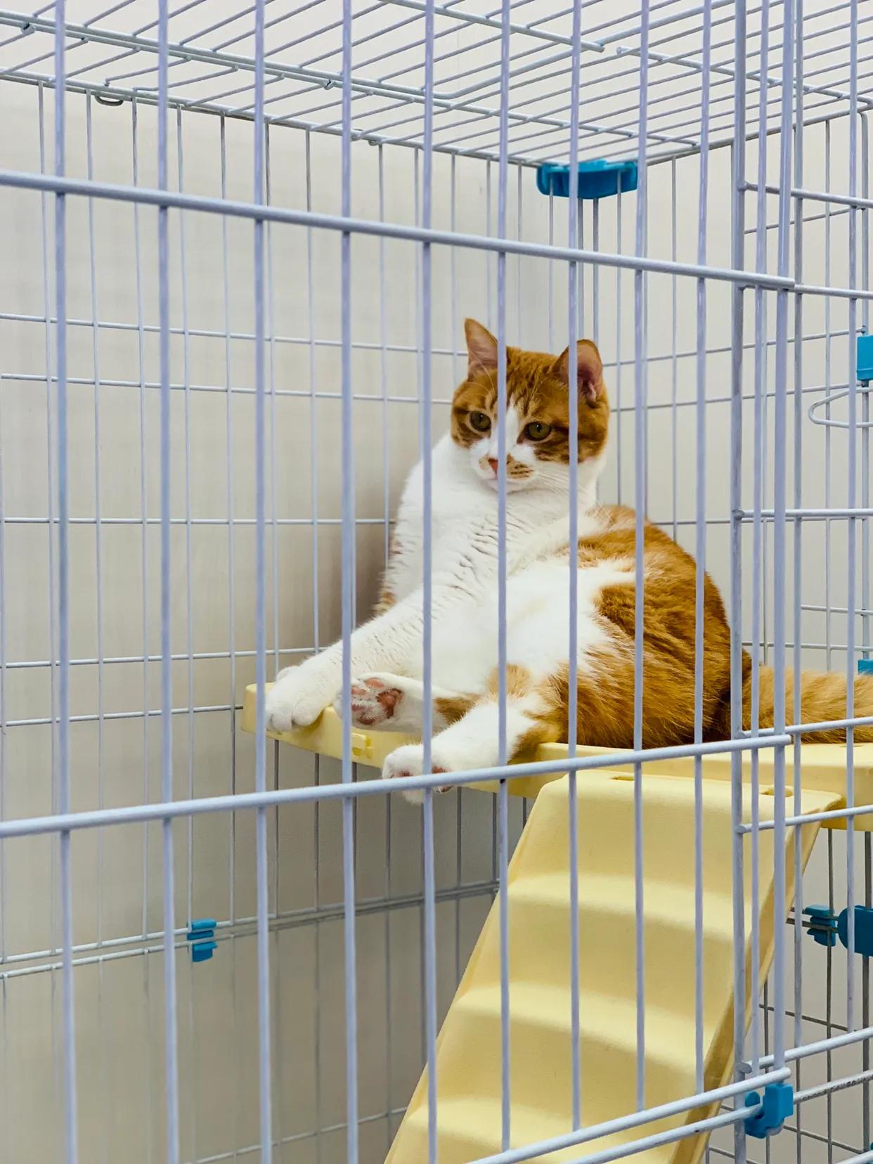 来天津的话都可以去哪玩,小确茶天津路