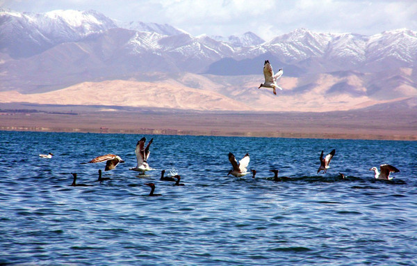 最大的咸水湖在青海吗,中国最大的咸水湖和盐湖