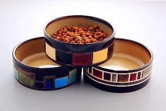 养猫怎样照顾猫,刚刚领养幼猫怎么养