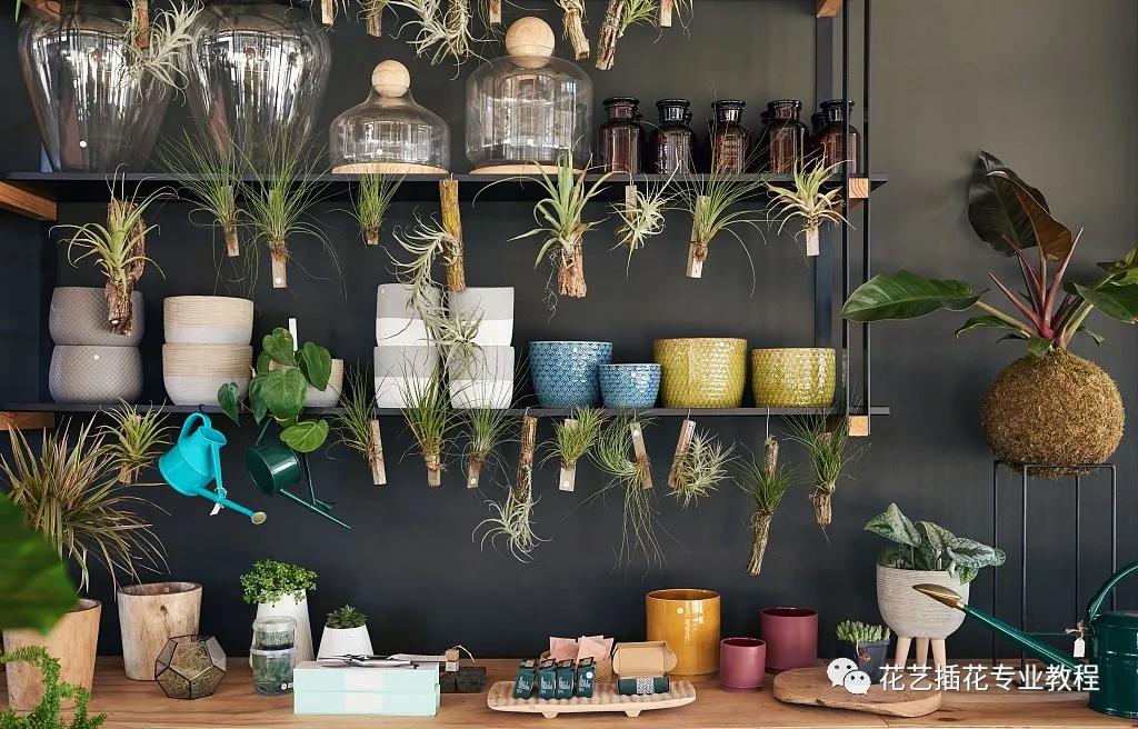 刚开业的花店怎么进货,想开家花店花从哪进货