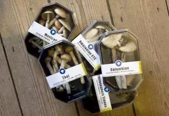 震惊！！8.4万祖国的花朵正被“新型*品毒**”盯上！