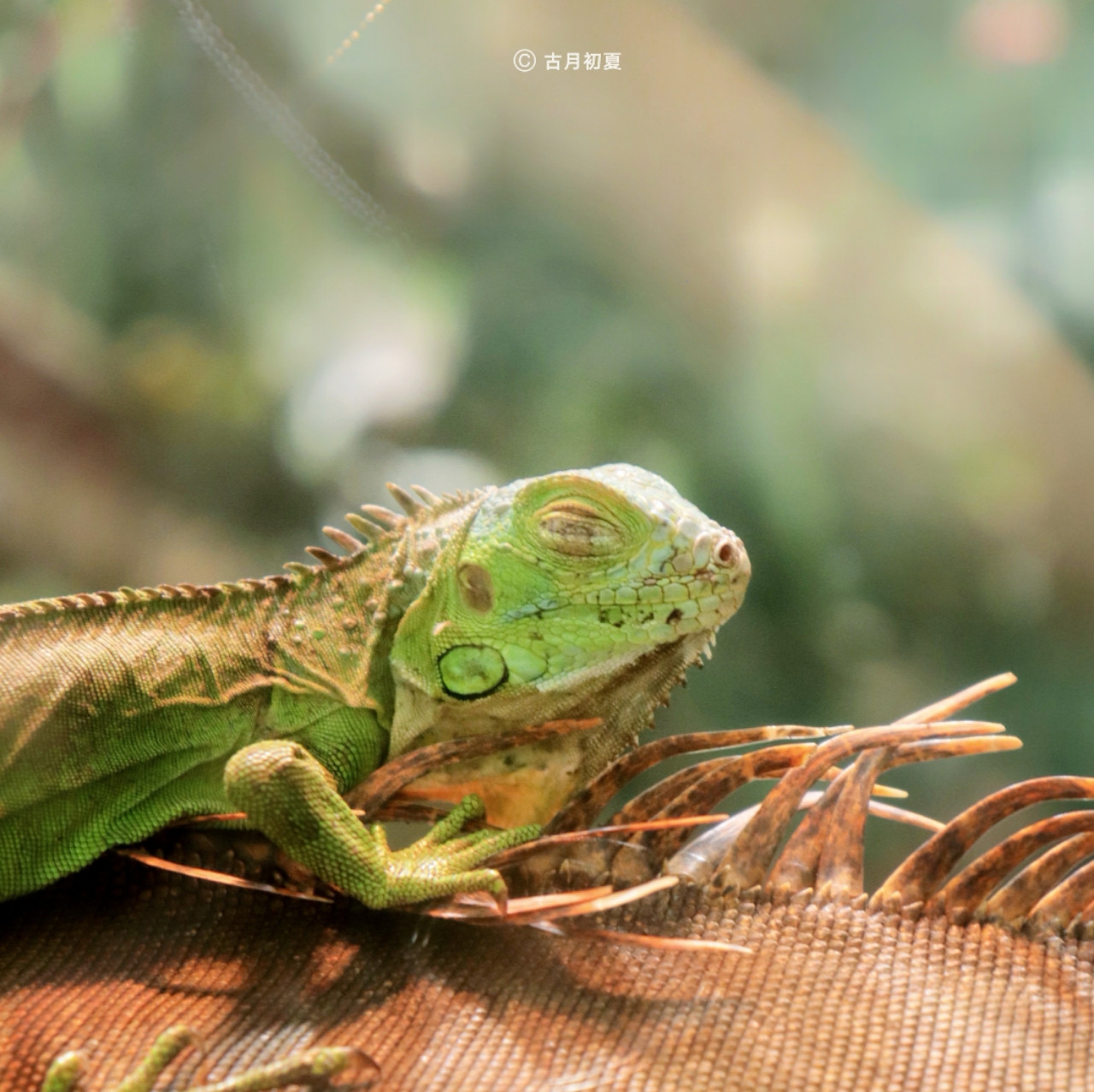 厦门科技馆游玩攻略2-3岁儿童,厦门科技馆每一个馆只能玩一次吗