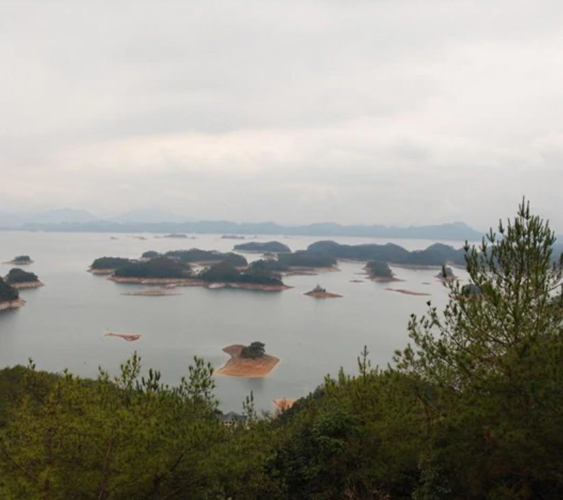 千岛湖蓝藻大爆发,千岛湖蓝藻爆发事件