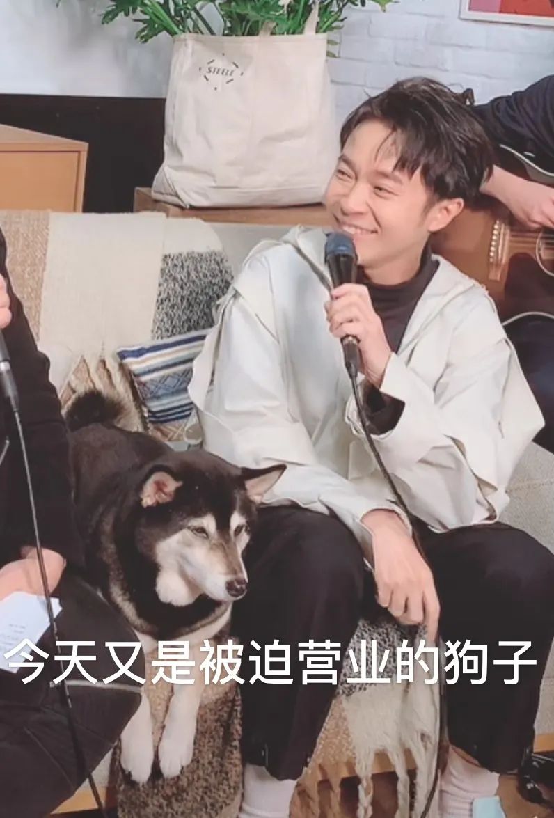 以后还会有演唱会吗,我们还能不能再见面现场