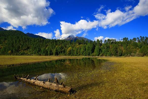 林芝属于藏南地区吗,西藏林芝为什么被称为西藏江南