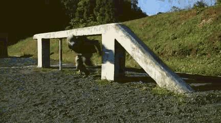 新兵老兵400米障碍,解放军400米障碍