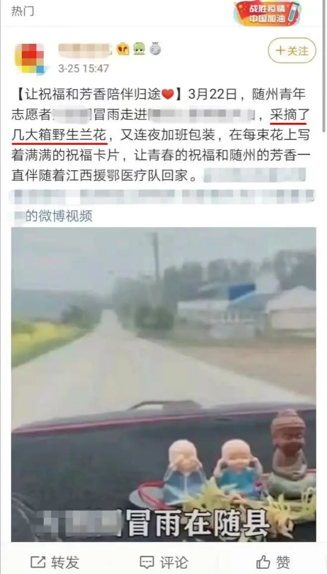 天价交易下历尽劫难的野生兰花,终于有了“护身符”