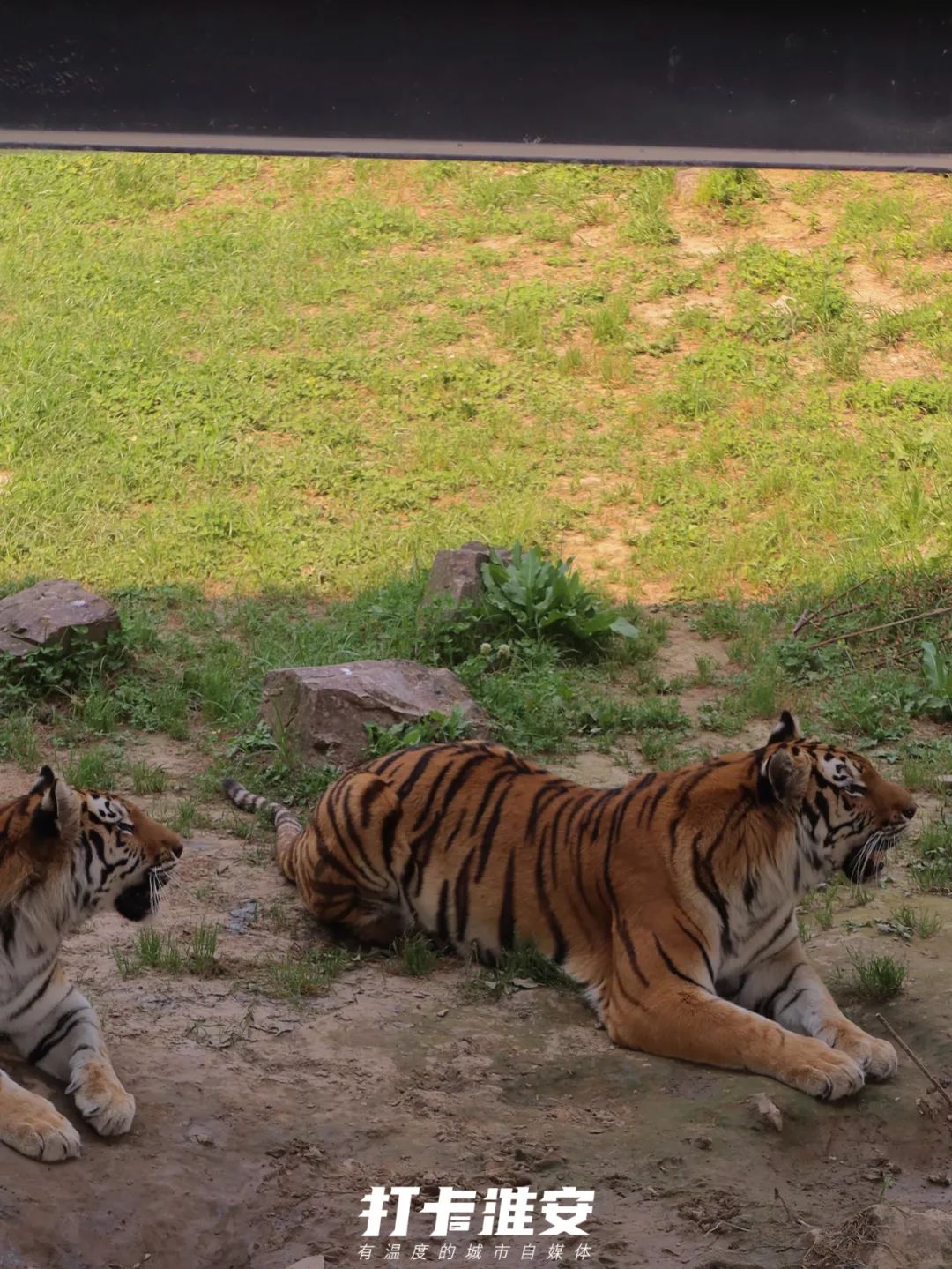 儿童节去儿童乐园,儿童节去公园玩